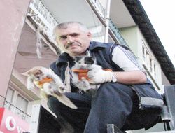 İtfaiyeden kedi kurtarma operasyonu!..