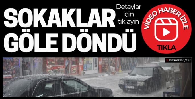 Pasinler'de dolu hayatı felç etti