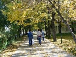 Erzurum'da sonbahar manzaraları!..