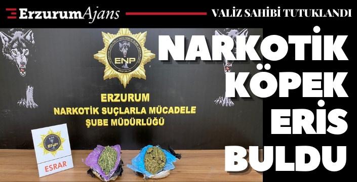 Bagajdaki valizden çıktı!