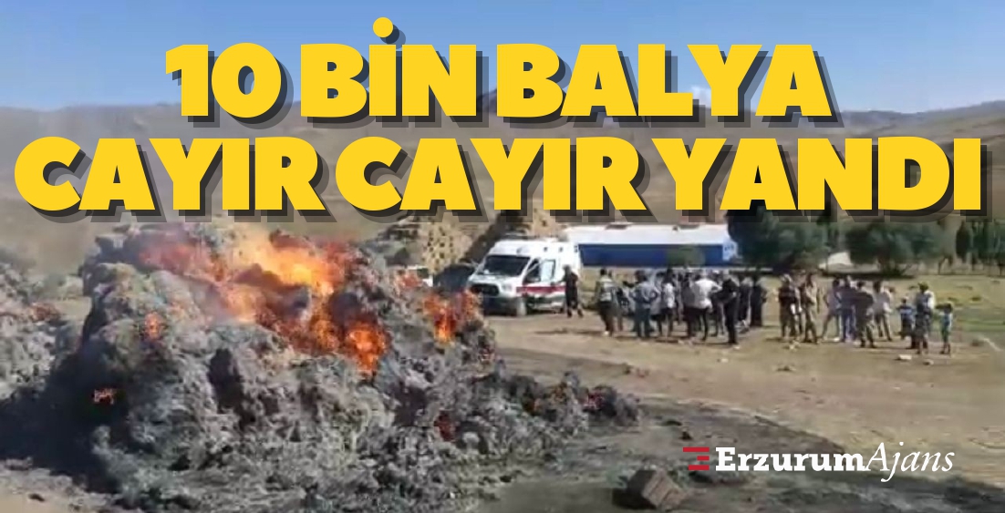 Balyalar cayır cayır yandı