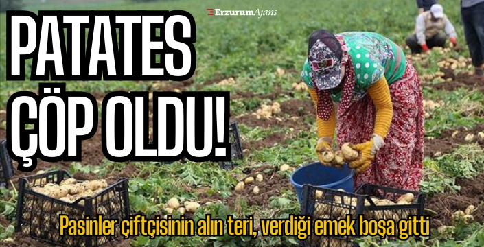 Çiftçinin emeği çöp oldu