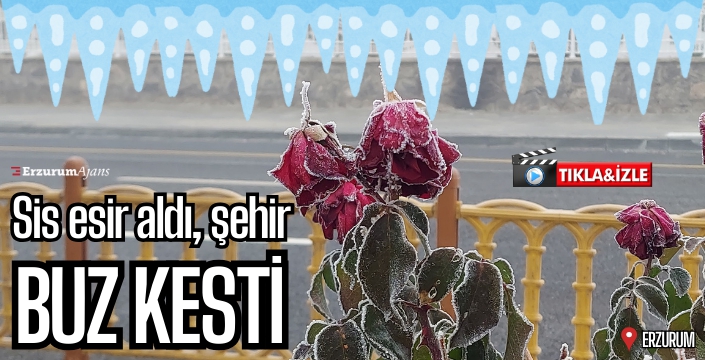 Görüş mesafesi 5 metreye düştü