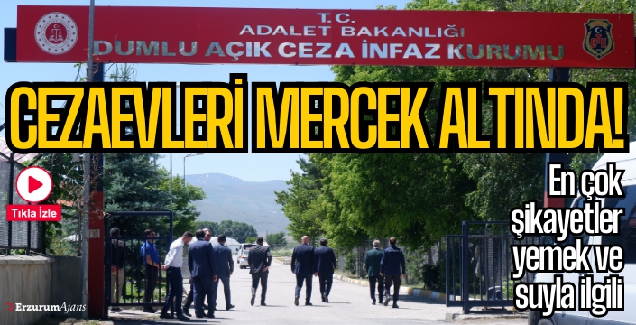 Hükümlü ve Tutuklu Hakları İnceleme Alt Komisyonu üyeleri Erzurum'da