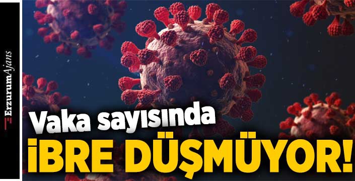 Koronavirüste son durum!