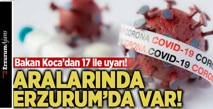 Koronavirüste son durum!