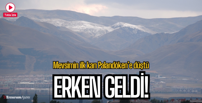 Mevsimin ilk karı yağdı