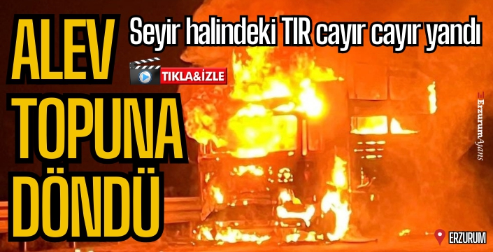 Seyir halindeki TIR alevlere teslim oldu