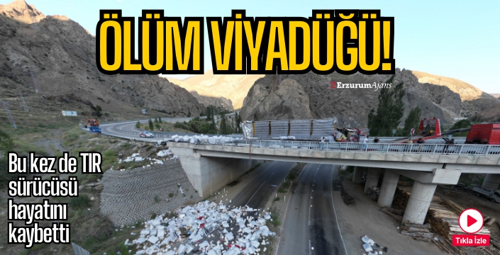 TIR sürücüsü yaşamını yitirdi