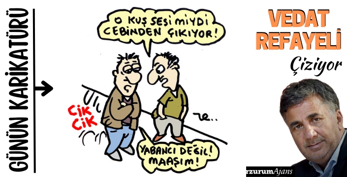 Vedat Refayeli çiziyor