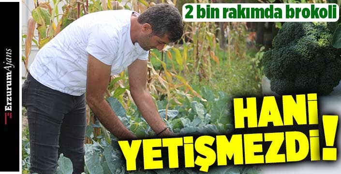 Yetişmez denilen sebzeyi 2 bin rakımda yetiştirdi